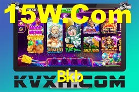 VIP Casino Bkb